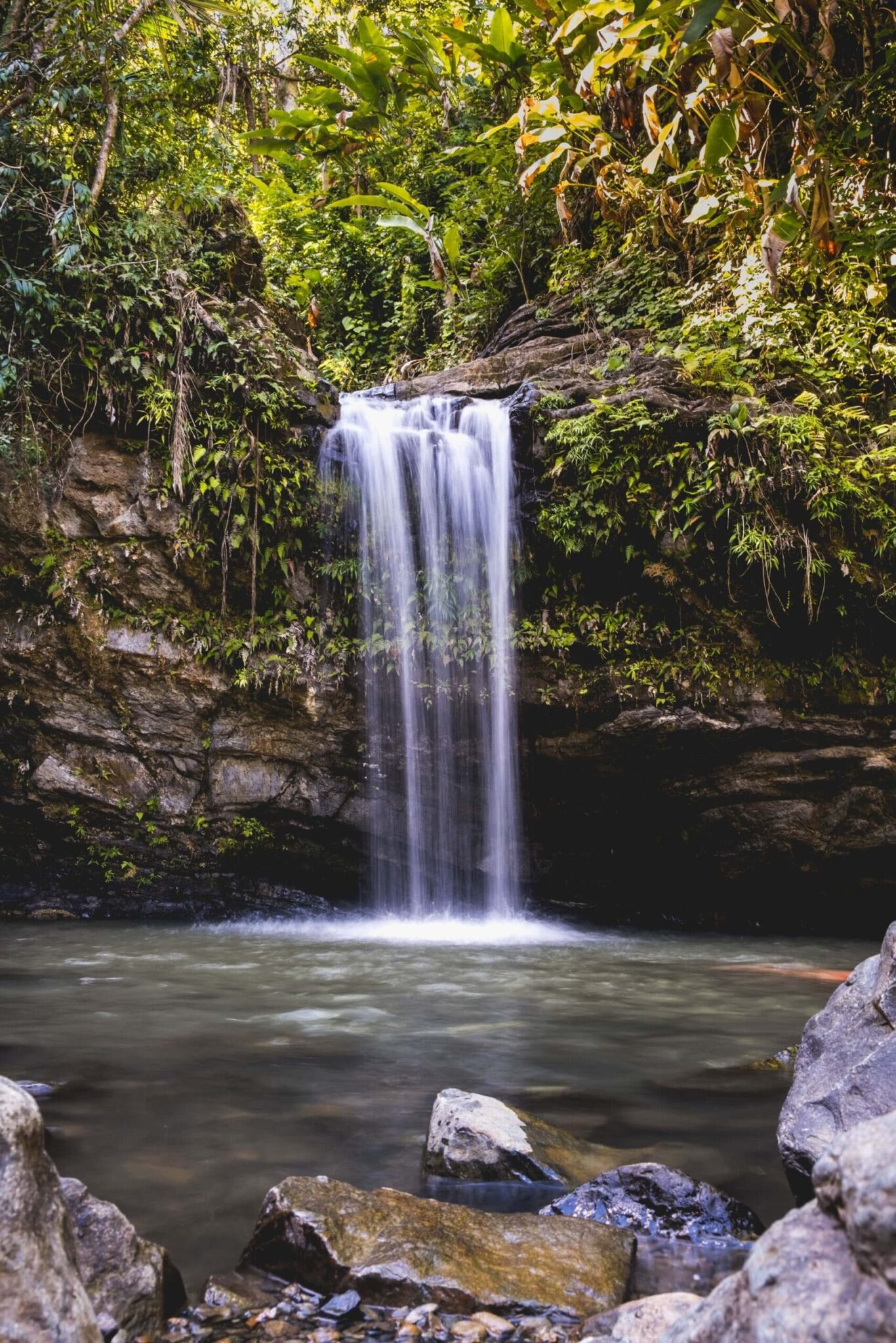El Yunque Rainforest, Puerto Rico