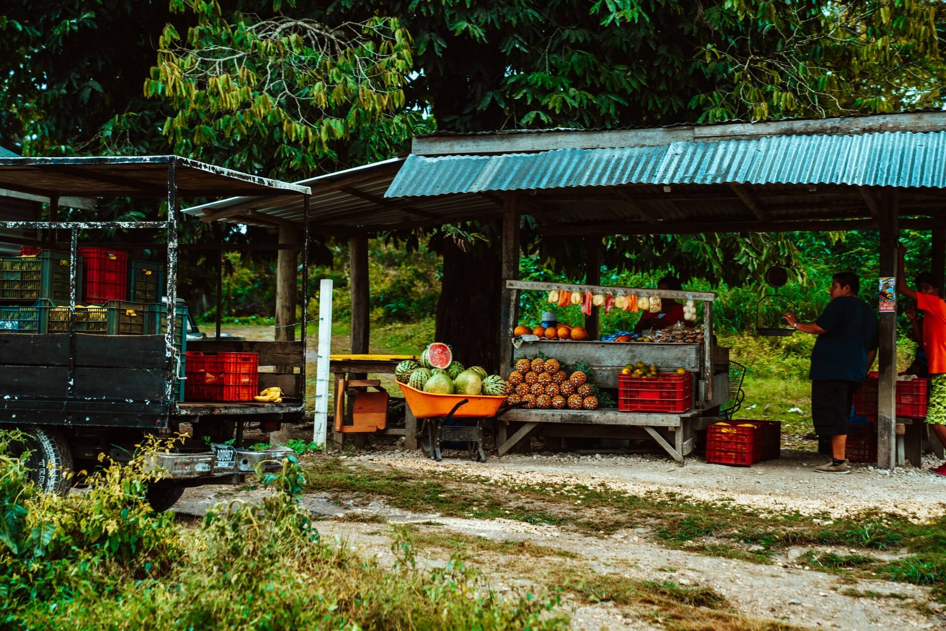 Fresh Fruit Market , Hummingbird Highway, Belize