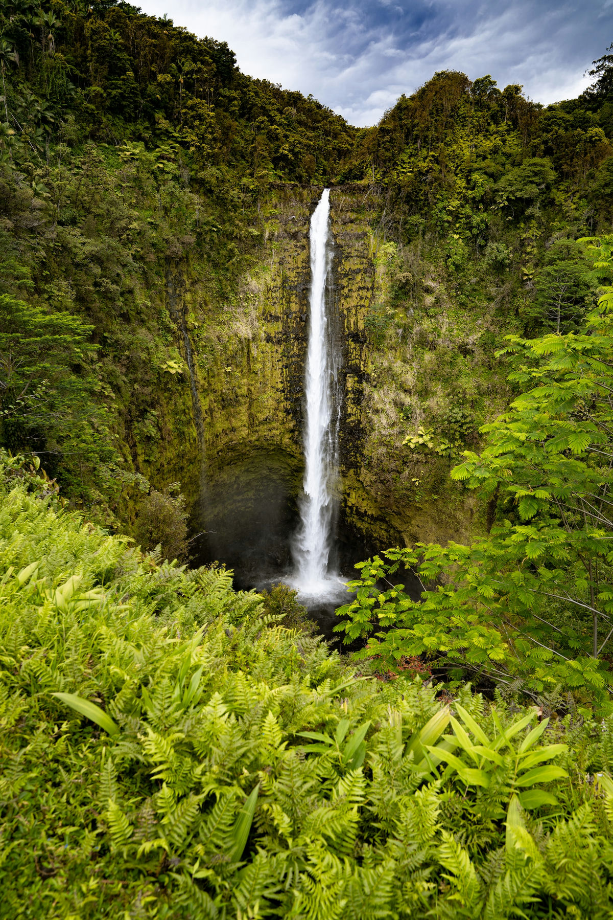 Akaka Falls Hawaii USA